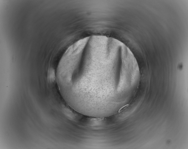 X0000100960089200807081252