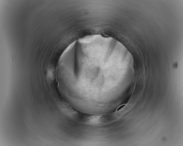 X0000100960090200807081252