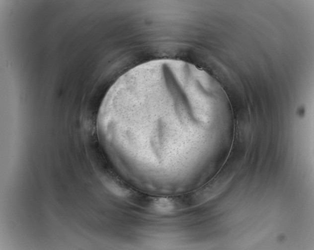 X0000100960091200807081252