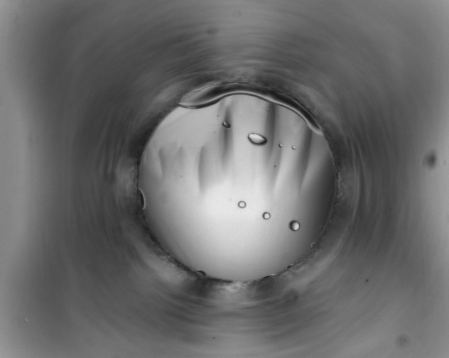 X0000100960092200807081252