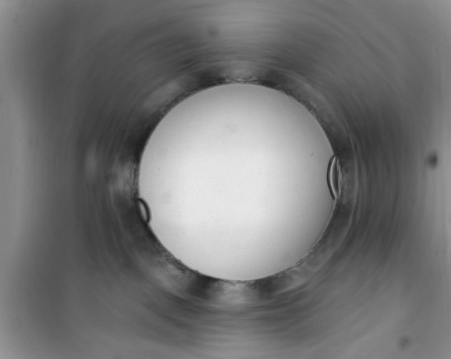 X0000100960093200807081252