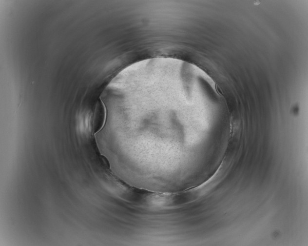 X0000100960094200807081252