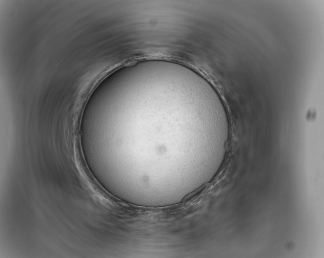 X0000100960097200807081251