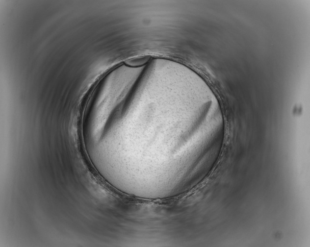 X0000100960098200807081251