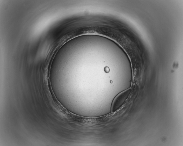 X0000100960099200807081251