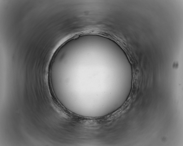 X0000100960100200807081251