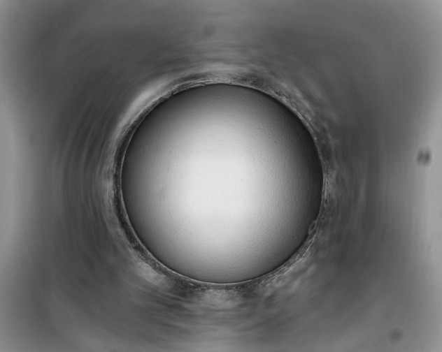 X0000100960101200807081251