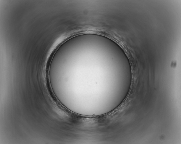 X0000100960102200807081251