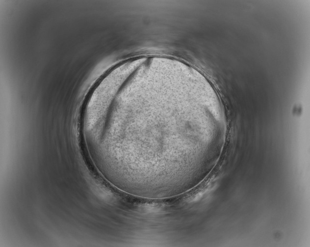 X0000100960103200807081251