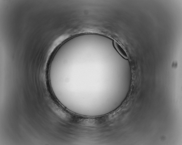 X0000100960104200807081251