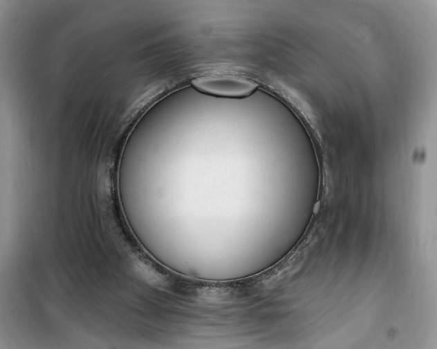 X0000100960105200807081251