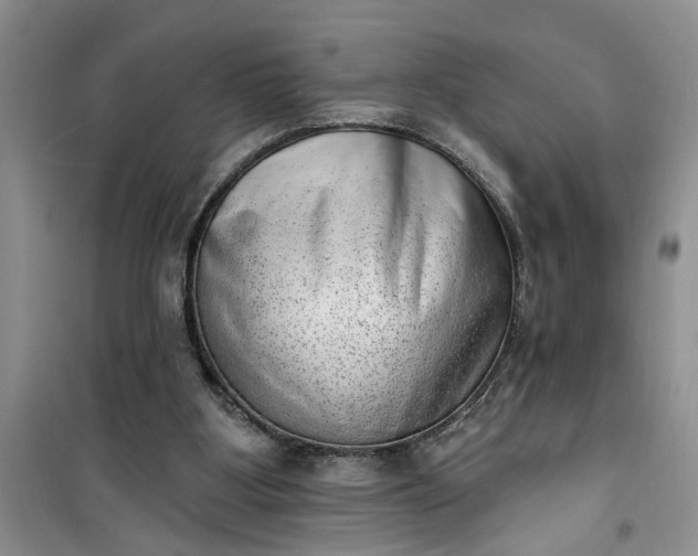 X0000100960107200807081251