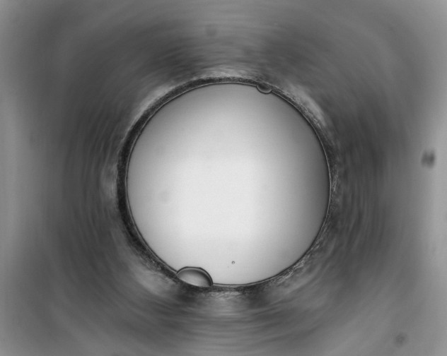 X0000100960108200807081251