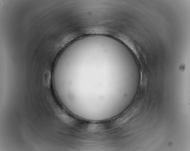 X0000100960109200807081251