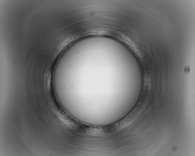 X0000100960110200807081251