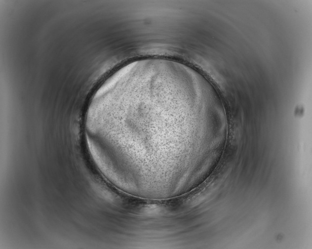 X0000100960111200807081251