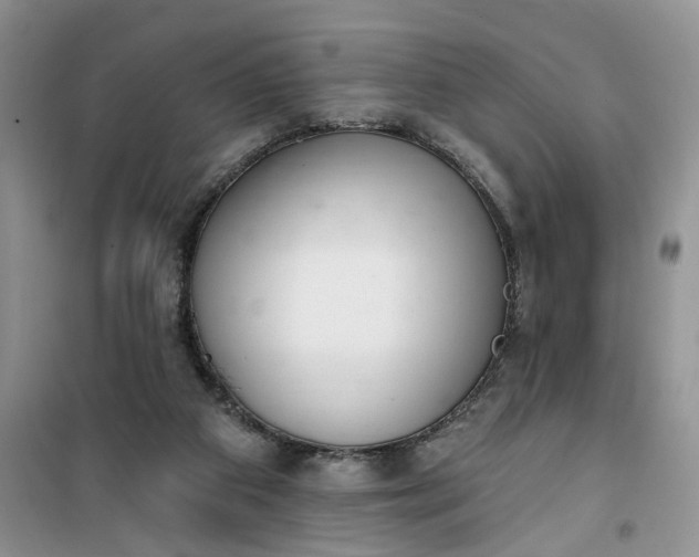 X0000100960113200807081251