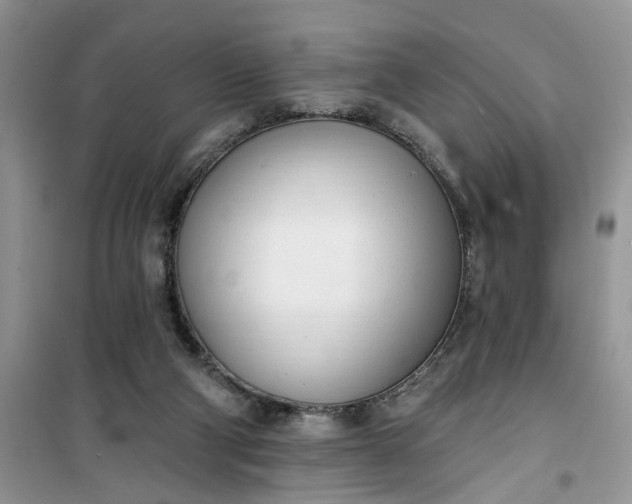 X0000100960114200807081251