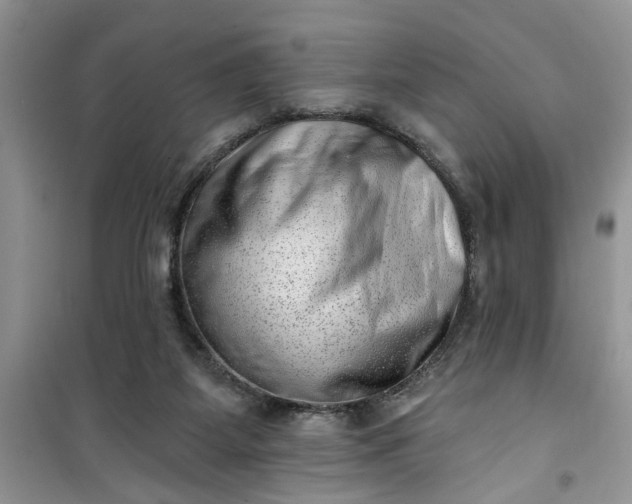 X0000100960115200807081251