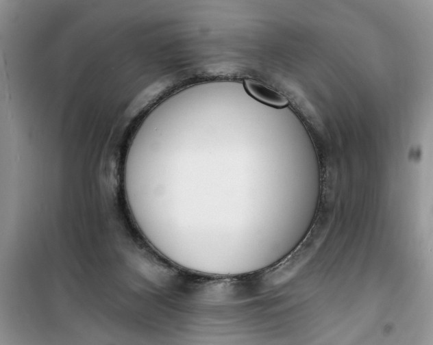 X0000100960116200807081251