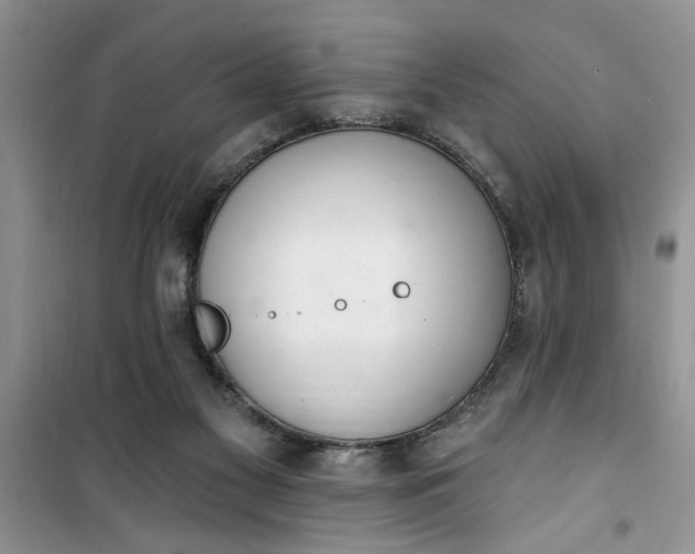 X0000100960117200807081251