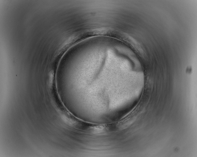 X0000100960118200807081251