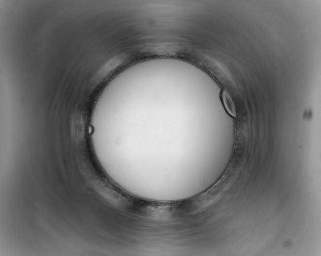 X0000100960120200807081251