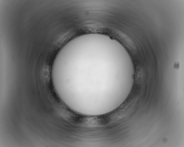 X0000100960121200807081251