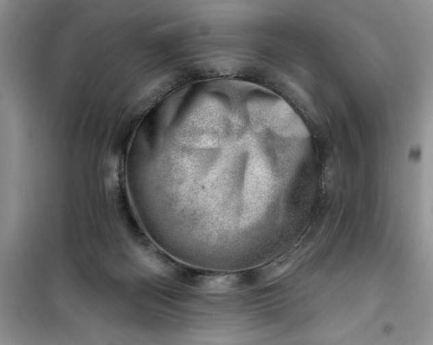 X0000100960122200807081251