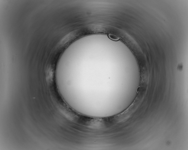 X0000100960124200807081251