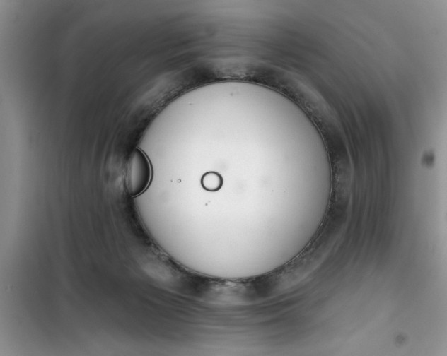 X0000100960125200807081251