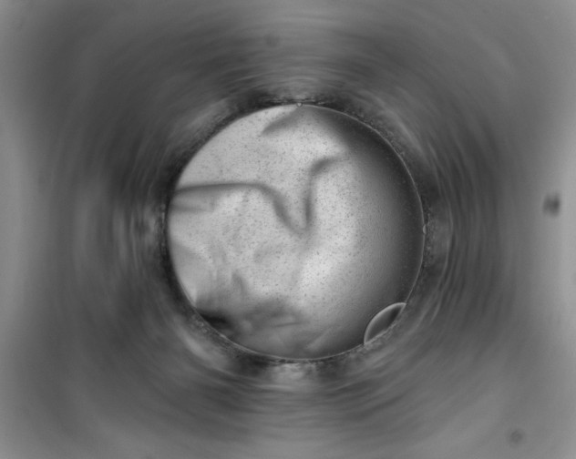 X0000100960126200807081251