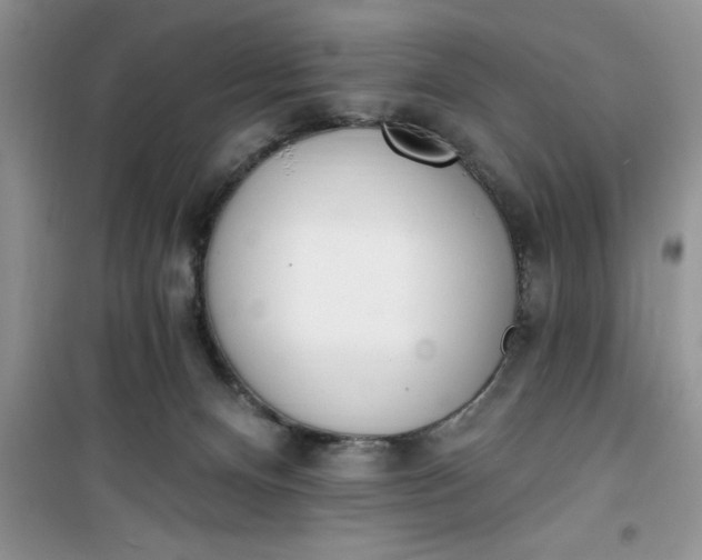 X0000100960128200807081251