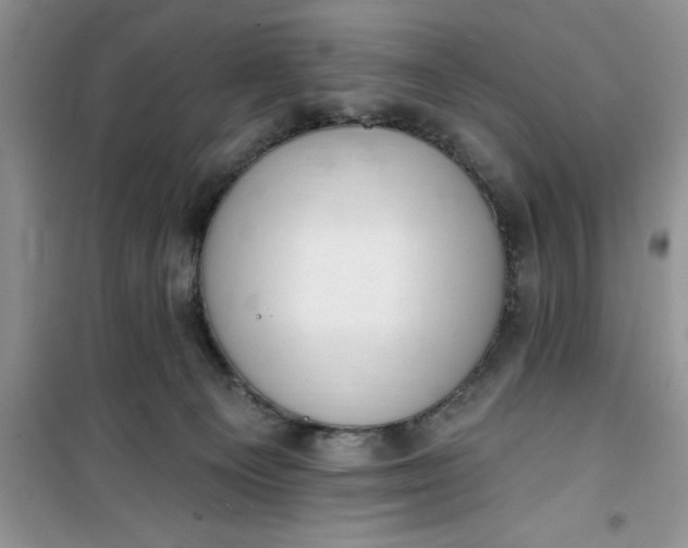 X0000100960129200807081251