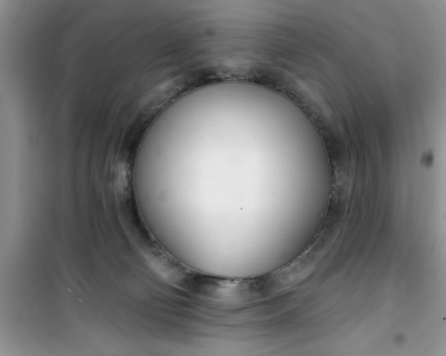 X0000100960130200807081251