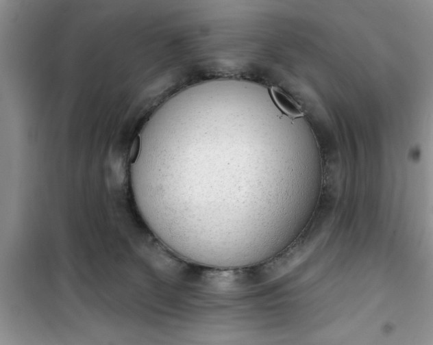 X0000100960131200807081251