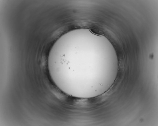 X0000100960132200807081251