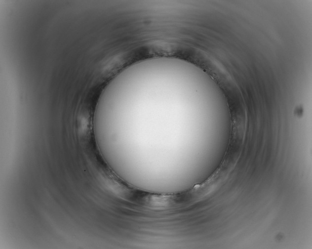 X0000100960134200807081250