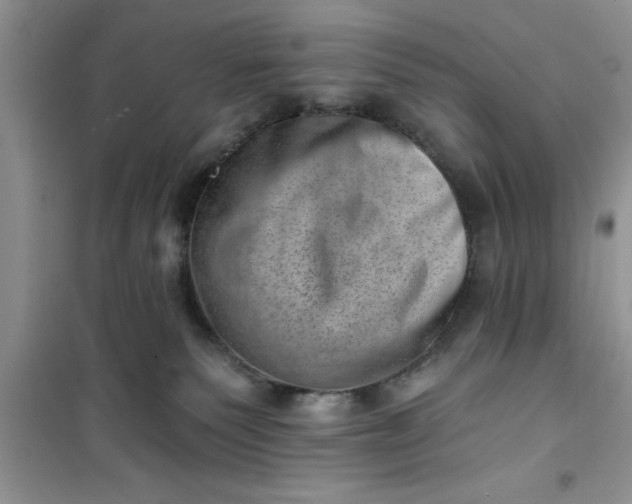 X0000100960135200807081250