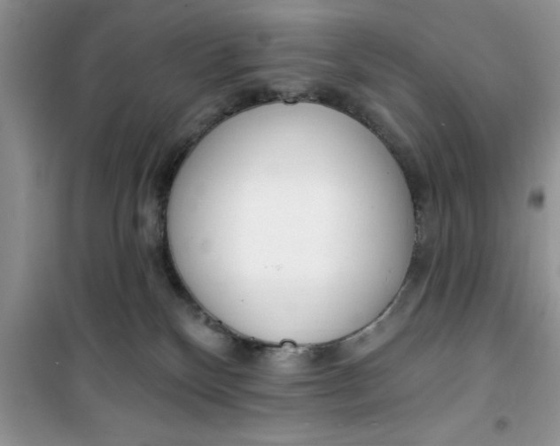 X0000100960136200807081250