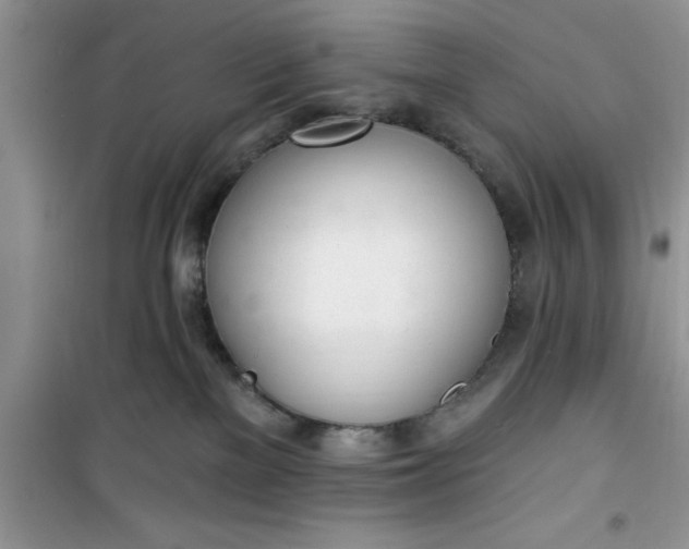 X0000100960137200807081250