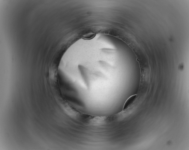 X0000100960138200807081250