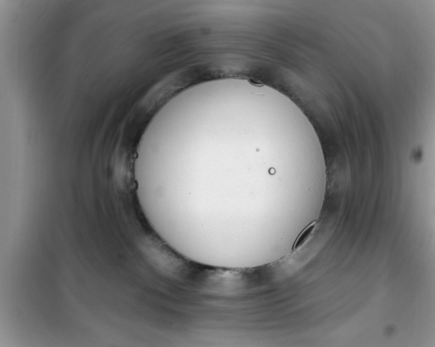 X0000100960140200807081250