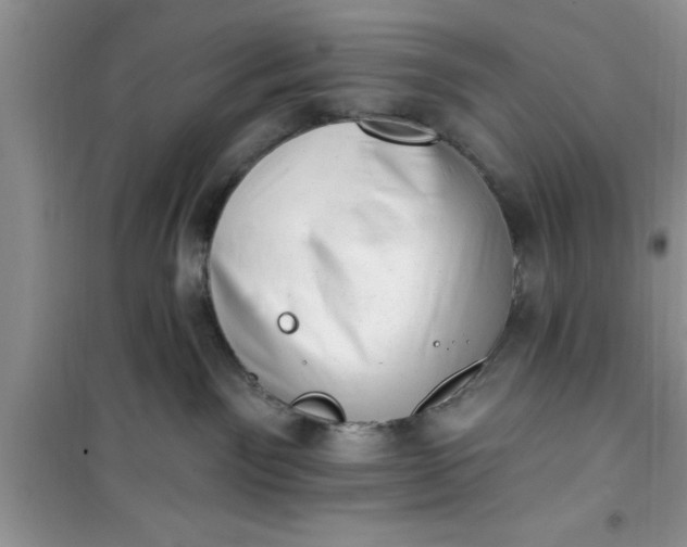 X0000100960141200807081250