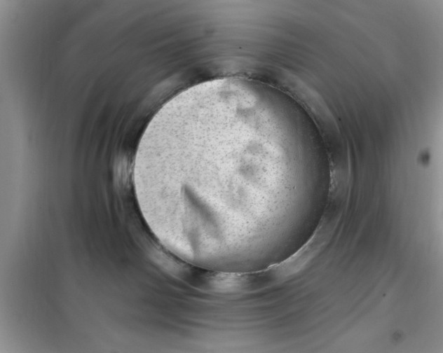 X0000100960142200807081250