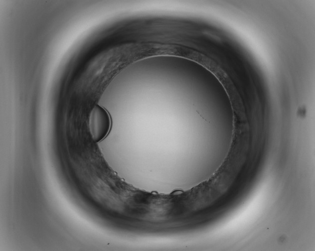 X0000100960143200807081250