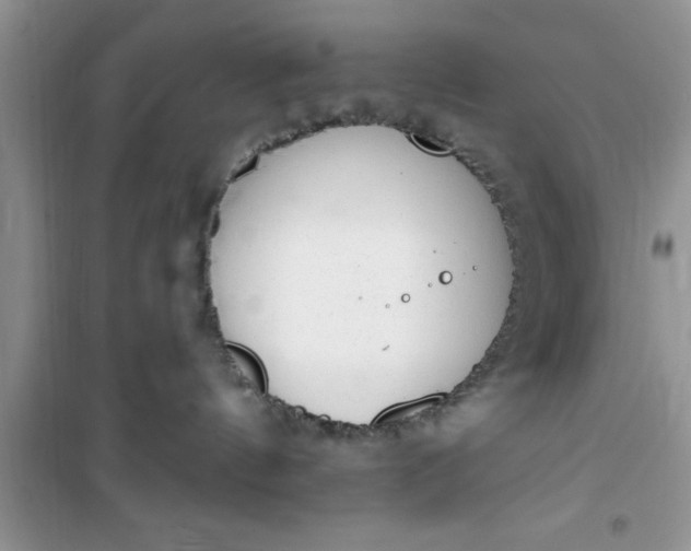 X0000100960144200807081250