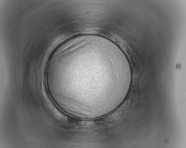 X0000100960145200807081249