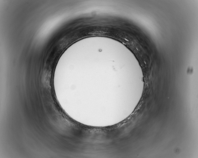 X0000100960146200807081249