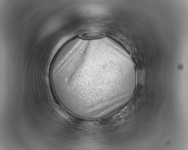 X0000100960147200807081249